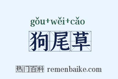 狗尾草是什么意思的图片